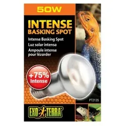 Exo Terra Intense Basking Spot 50 W