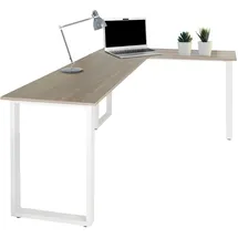 HJH Office Schreibtisch Workspace Basic I grau/weiß