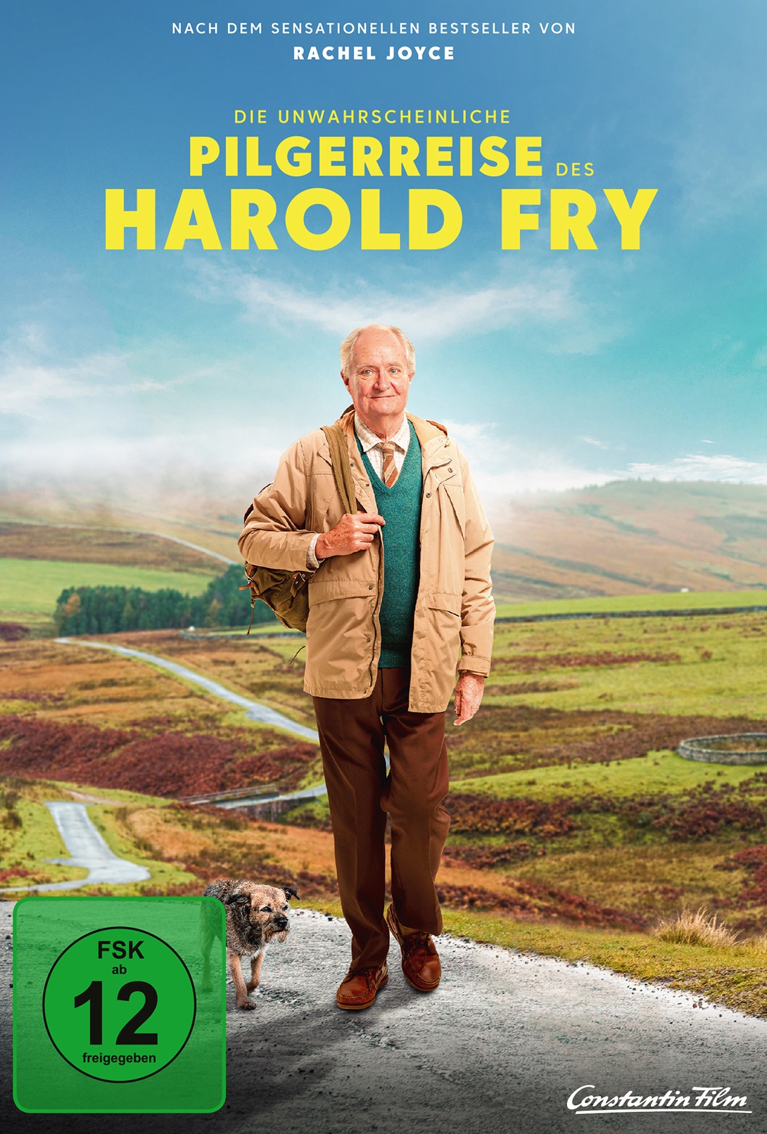Die Unwahrscheinliche Pilgerreise Des Harold Fry (DVD)