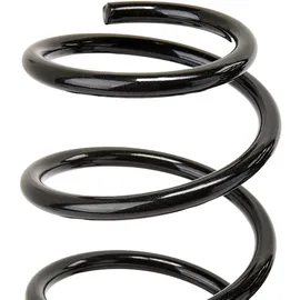 Eibach E10-15-021-03-22