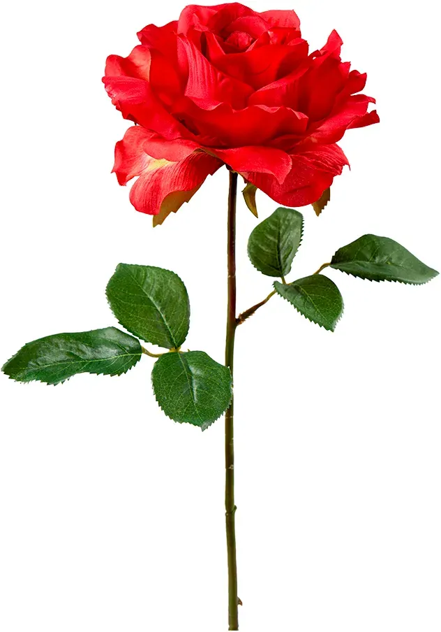 Rose 38cm mit Blatt rot