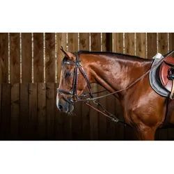 Dyon Working Collection Gogue Nylon Hilfszügel - brown - Cob