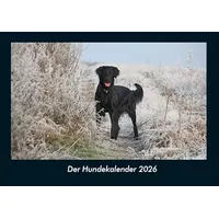 Vero Kalender Der Hundekalender 2026 Fotokalender DIN A4