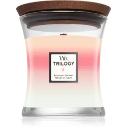 Woodwick Trilogy Blooming Orchard Duftkerze 275 g