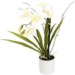 Kunstorchidee Orchidee, I.GE.A., Höhe 33 cm, im Keramiktopf beige