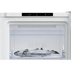 Beko RFNM200T40WN Weiß