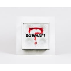 So What? - While She Sleeps. (CD)