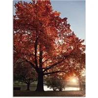 ARTland »Herbstbaum«, Bäume, (1 St.), in verschiedenen Größen