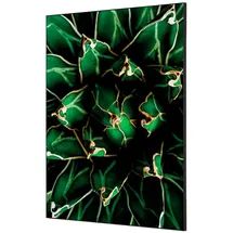 Showdown Displays Bilderrahmen mehrfarbig 20x30 cm 1 St.