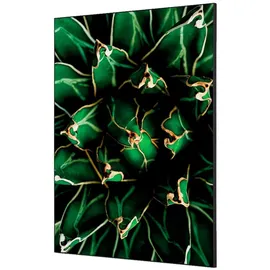 Showdown Displays Bilderrahmen mehrfarbig 20x30 cm 1 St.
