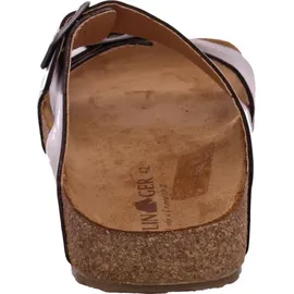 HAFLINGER Bio Andrea Braun 40