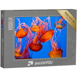 puzzleYOU Puzzle Puzzle 1000 Teile XXL „Spektakuläre orangene Quallen“, 1000 Puzzleteile, puzzleYOU-Kollektionen Quallen, Moderne Puzzles, Puzzle-Neuheiten