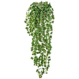 Creativ green Kunstranke Englische Efeuranke, Creativ green, Höhe 115 cm, hängender Efeu, ohne Topf grün