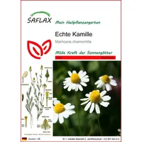 SAFLAX - Heilpflanzen - Echte Kamille - 300 Samen