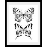 Queence Bild »Schmetterlinge«, in 3 Größen, gerahmt, 38564817-0 schwarz B/H/T: 50 cm x 70 cm x 3 cm,