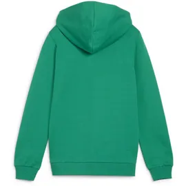 Puma teamGOAL Casuals Kapuzenjacke Jungen 05 sport green/white 140