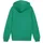 Puma teamGOAL Casuals Kapuzenjacke Jungen 05 sport green/white 140