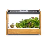 Click and grow 25 Komplettset 54 x 54 x 25 cm Schwarz