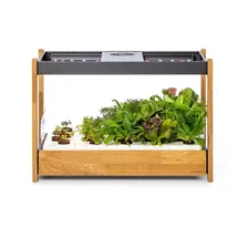 Click and grow 25 Komplettset 54 x 54 x 25 cm Schwarz