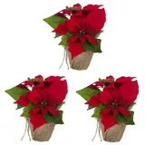 Bambelaa! 3 StückWeihnachtsstern künstlich Fenster naturgetreu Weihnachten Dekoration Weihnachtsdeko (Rot)