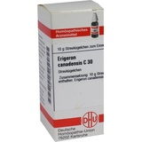 DHU-ARZNEIMITTEL ERIGERON Canadensis C30