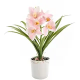 Orchidee, Hellrosa, Keramik, 35x40x15 cm, Dekoration, Kunstblumen