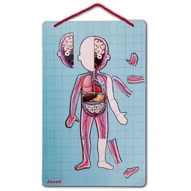 Janod Bodymagnet In 12 Sprachen - Multicolor - 12 Monate-7 Jahre