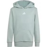 adidas Hoodie Grey 164