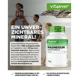 Vit4ever Magnesium Malat Kapseln 365 St.