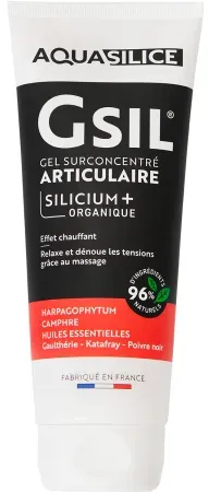 GSIL Gel Surconcentrate Articular Silicium Tube 200ml