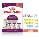 Royal Canin Sensory Multipack in Soße 12 x 85 g