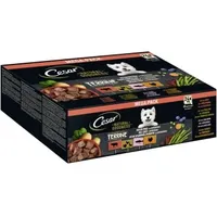 Cesar NATURAL GOODNESS Getreidefrei mit Superfoods in 4 Varietäten 24 x 100 g - Terrine Mix (Geflügel, Truthahn, Rind, Lachs)