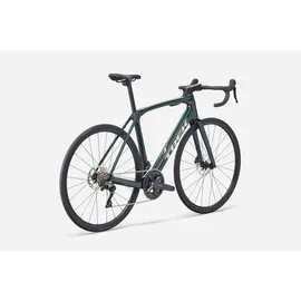 Trek Domane SL 5 Gen 4 2026 58 Zoll RH 58 cm grau/grün