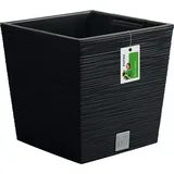 Prosperplast Furu Square 29,5 x 29,5 x 29 cm Anthrazit