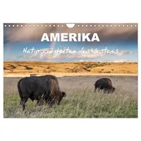Calvendo Amerika - Naturschönheiten des Westens (Wandkalender 2026 DIN