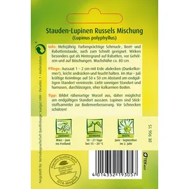 Quedlinburger Stauden-Lupine, Russels Hybrid-Mischung