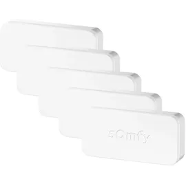 SOMFY Funk-Sensor Set 2401488 (VE5)