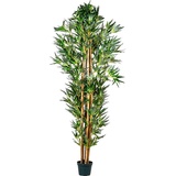 PLANTASIA Kunstpflanze Bambus Strauch 160 cm,