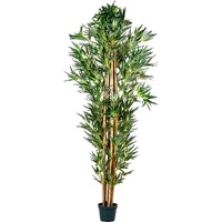 PLANTASIA Kunstpflanze Bambus Strauch 160 cm,