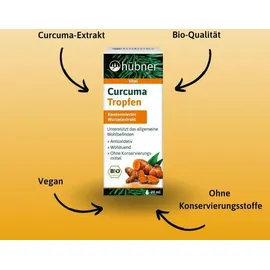 Hübner Curcuma Tropfen 20 ml