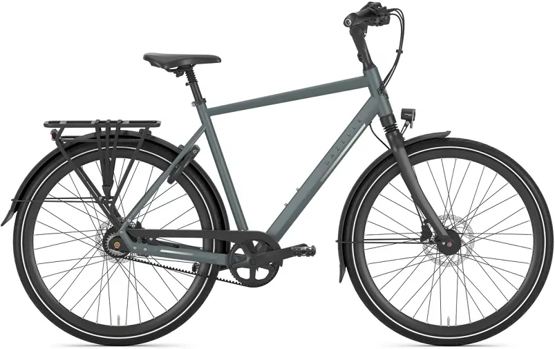 Gazelle Chamonix S8 Herren grün 2026 - 28