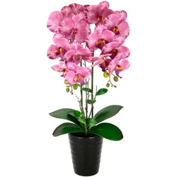 Kunstblume I.GE.A. "Orchidee", rosa (rosa, muttertag, ostern, valentinstag, vatertag, weihnachten), B:26cm H:58cm L:18cm, Kunstpflanzen, Im Topf Phalaenopsis Orchidee Phalaenopsis mit Übertopf Hochzeit