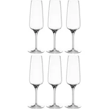 LEONARDO Sektglas CESTI 0,24 l 6er-Set