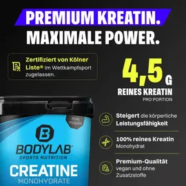 Bodylab24 Creatin Monohydrat Pulver 1000 g