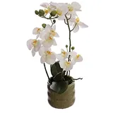 mucplants Orchidee Real Touch 50cm weiß im Keramiktopf Kunstblumen künstliche Orchidee