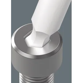 WERA 3950 SPKL Multicolour Winkelschlüssel 2,0 x 101 mm