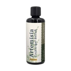 Waldkraft Artemisia - Einjähriger Beifuß alkoholfrei (in Sauerhonig) 50ml