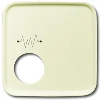 Busch-Jaeger Zentralscheibe ws 2548-020 F-212