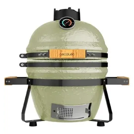 Cecotec Dragonfire 3200 Grün
