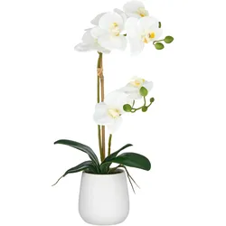 Kunstorchidee CREATIV GREEN "Orchidee Phalaenopsis", weiß, H:50cm, Kunststoff, Kunstpflanzen, mit dauerhafter Blütenpracht
